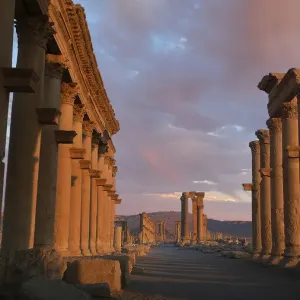 Palmyra, Syria Palmyra, Syria