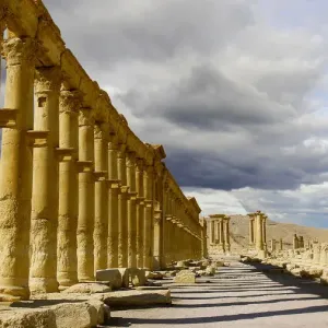 Palmyra, Syria Palmyra, Syria