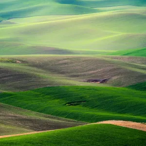 Palouse hill Palouse hill
