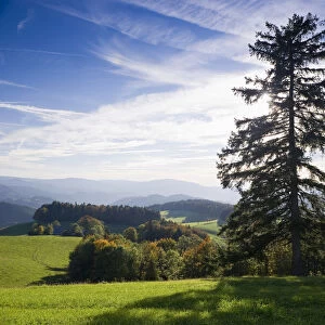Panorama near St Maergen, southern Black Forest, Baden-Wuerttemberg, Germany, Europe