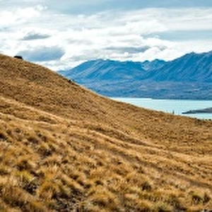 Panorama view of lake tekapo