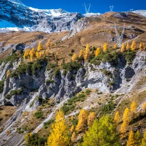 Panoramic autumn scene of the Ortlergruppe in Val Venosta, Alto Adige