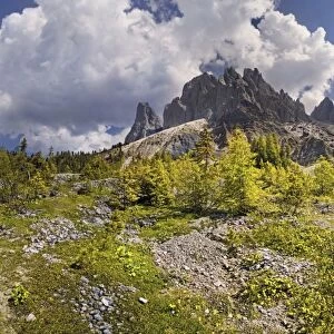 Panoramic view at the Adolf Munkel trail in the Geisler Group, Odle Mountains, Villnoess or Funes Valley, Dolomites, South Tyrol, Italy, Europe