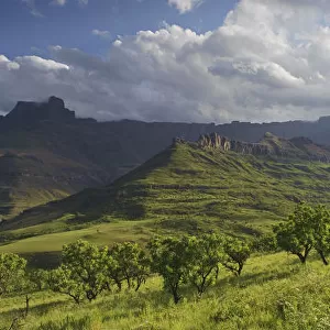 Panoramic view of the Amphitheatre range in the Drakensberg mountains, Drakensberg uKhahlamba National Park, Kwazulu-Natal-South Africa