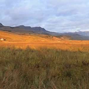 Panoramic view of the Mweni Valley at dawn, Drakensberg uKhahlamba National Park, Kwazulu-Natal, South Africa