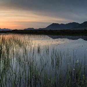 Panoramic view of a wetland near the town of Worcester in the western cape