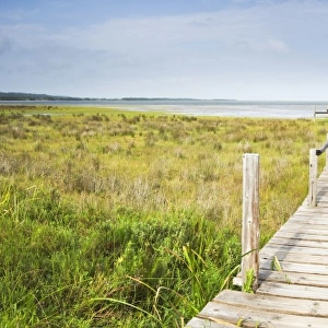 Panoramic view of wooden jetty leading towards lake, Catalina Bay, iSimangaliso Wetland Park, St Lucia, Kwazulu-Natal, South Africa