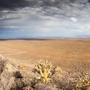 Panoramic views over the Tankwa Karoo Desert with dramatic thunderclouds in the sky