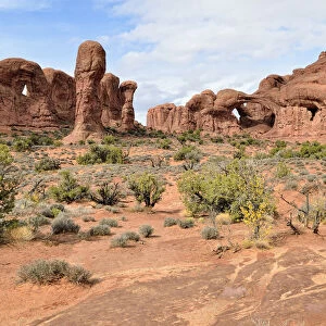 Parade of Elephants and the Double Arch, red sandstone formations, Arches National Park, Moab, Utah, USA