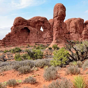 Parade of Elephants, rock formation of red sandstone, Arches National Park, Moab, Utah, USA