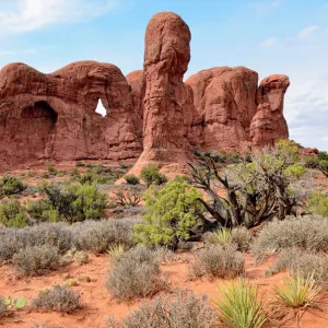 Parade of Elephants, rock formation of red sandstone, Arches National Park, Moab, Utah, USA