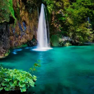Paradise Paradise