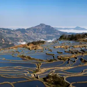 Yuanyang Rice Terraces Print