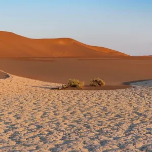 Parched ground in front of sand dunes Parched ground in front of sand dunes