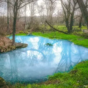 Parco del Lavino Sulfurous Water Print Parco del Lavino Sulfurous Water Print
