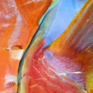 Wild Parrot-fish Print