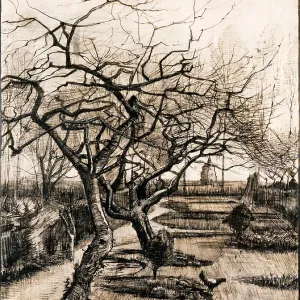 The Parsonage Garden at Nuenen in Winter. Artist: Gogh, Vincent, van (1853-1890) The Parsonage Garden at Nuenen in Winter. Artist: Gogh, Vincent, van (1853-1890)