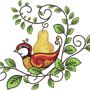 Partridge in a Pear Tree Partridge in a Pear Tree