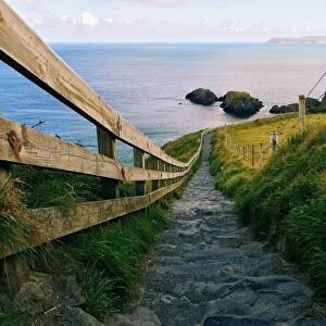 Path leading to Carrick-a-rede rope bridge