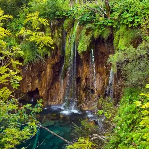 Pathway in Plitvice lakes park at Croatia Pathway in Plitvice lakes park at Croatia