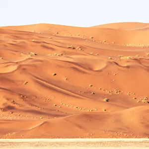 Patterns and variable colors in dune, Sossusvlei, Namib-Naukluft National Park, Namib Desert, Namibia