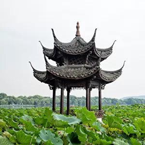 Pavilion in lotus field at West lake, Hangzhou