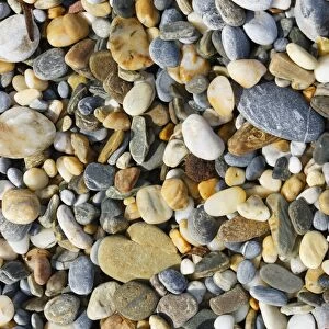 Pebbles on a beach, Dilek National Park, Kusadasi, Aydin province, Aegean region, Turkey