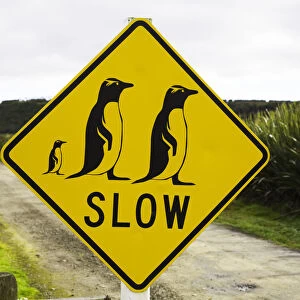 Penguin crossing sign on country road