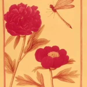 Peonies Peonies