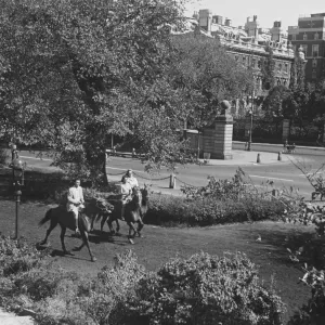 People riding horses in park (B&W), elevated view People riding horses in park (B&W), elevated view