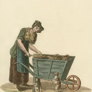 Pet Food Pet Food