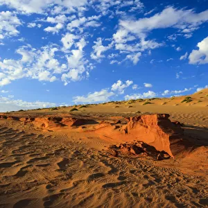 Petrified dunes, Namib Desert, Namib Naukluft Park, Namibia, Africa