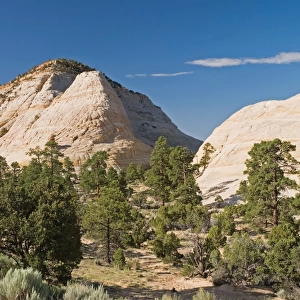 Petrified Sand Dunes In Grand Staircase-Escalante National Monument
