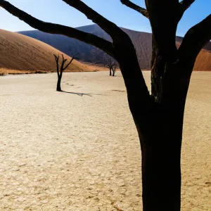 Amazing Deserts Framed Print Collection: Namibia's beautiful Dead Vlei