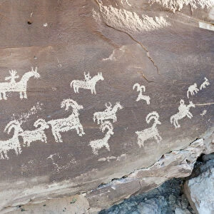 Petroglyphs of the Ute Indians, animals and riders on horseback carved in a rock, Arches National Park, Utah, Western United States, United States of America, North America
