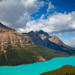 Peyto Lake in Banff, Canada Peyto Lake in Banff, Canada