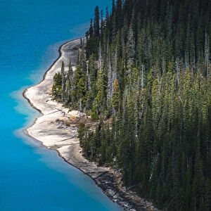 Peyto Lake, Banff National Park, Alberta, Canada