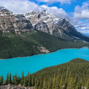 Peyto Lake Print, Banff National Park, Alberta Peyto Lake Print, Banff National Park, Alberta