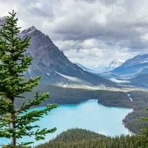 Peyto Lake, Icefields Parkway, Banff, Alberta, Canada. blue glacial lake in the Canadian Peyto Lake, Icefields Parkway, Banff, Alberta, Canada. blue glacial lake in the Canadian