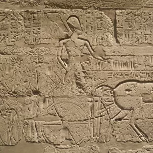 Pharaoh Tuthmose III on a chariot, Karnak Temple Complex