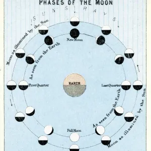 Phases of the Moon Vintage Print Phases of the Moon Vintage Print