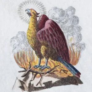Hand-colored copper engraving print of a phoenix