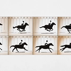 Photographic frames on two film strips depicting action sequence of man riding horse