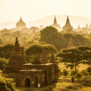 Photography, Consumerproduct, Mid-Air, Plant, Transportation