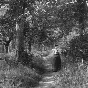 Print of a Woman Picking Flowers in the Woods Print of a Woman Picking Flowers in the Woods