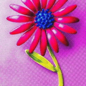 Pink and Blue Flower