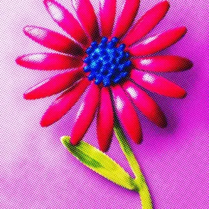 Pink and Blue Flower Pink and Blue Flower