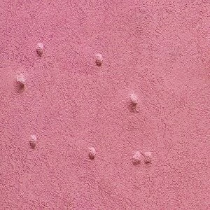 Pink Bumpy Wall