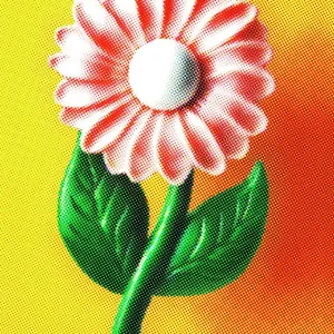 Pink Flower in Orange Background Pink Flower in Orange Background