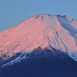 Pink Fuji in Early Morning